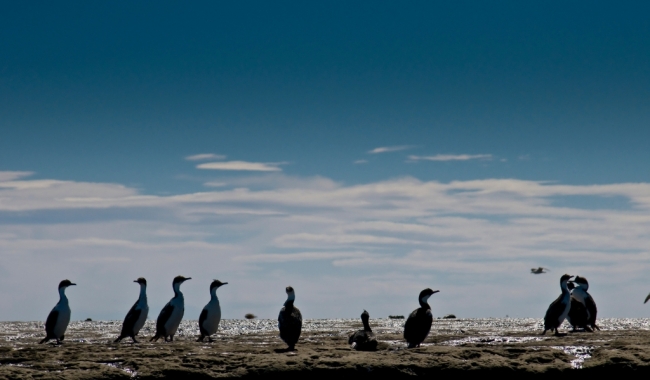 Semana Santa en Calafate y Ushuaia