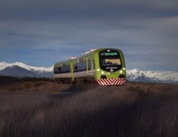  Tren Patagnico