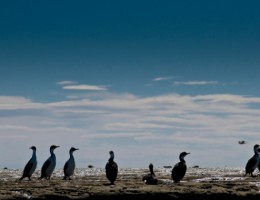 Semana Santa en Calafate y Ushuaia